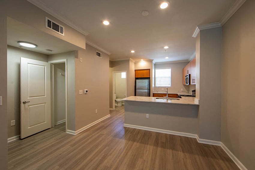 Gallery Photo 55